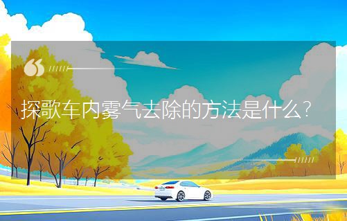 ̽��܇���F��ȥ���ķ�����ʲô��