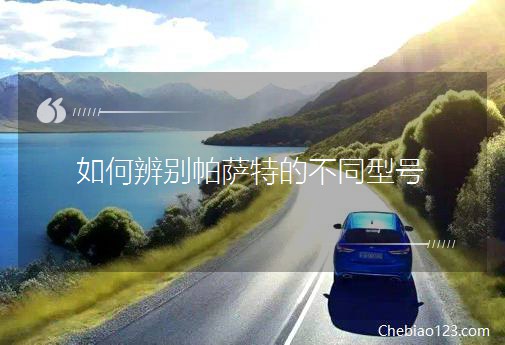 如何辨別帕薩特的不同型號